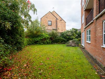 Picture 28